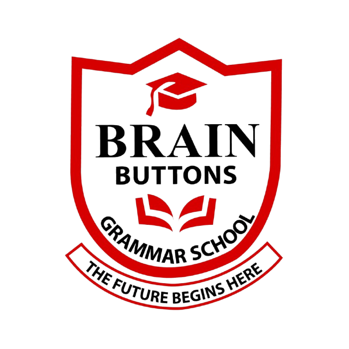 Brain Buttons Grammar School